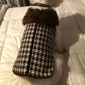 Dog Coat & Matching Bling Collar